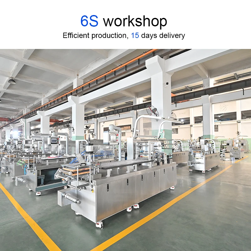 Ampoule Blister Blistering Packaging Machine Blister Packing Machine For Disposable Syringe