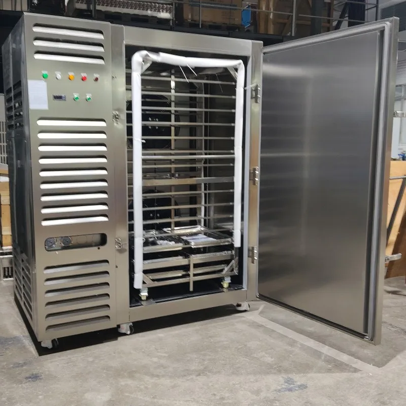 Quality meat and poultry quick freezing refrigerator blast chiller freezer