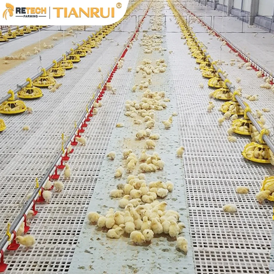 
Полностью автоматическая система подачи кастрюль, кастрюля, поилка, оборудование для птицеводства, товары для бройлеров, куриц 