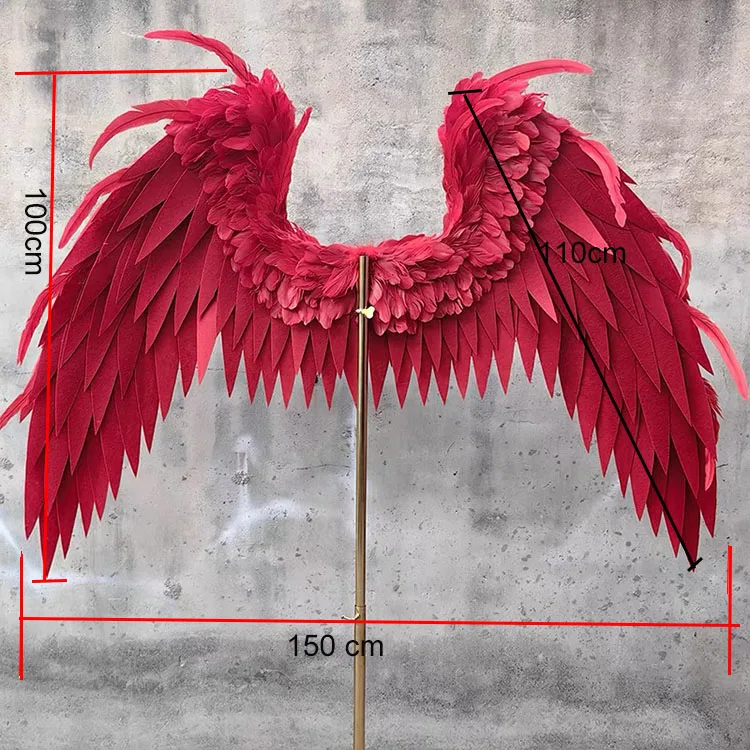 feather wings  (5).JPG