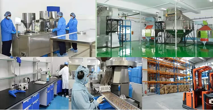 factory 1