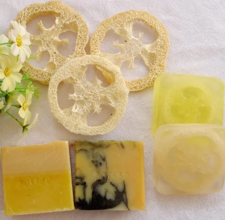 Заводская поставка натуральный водонепроницаемый и дышащий держатель мыла/коробка/лоток для продажи