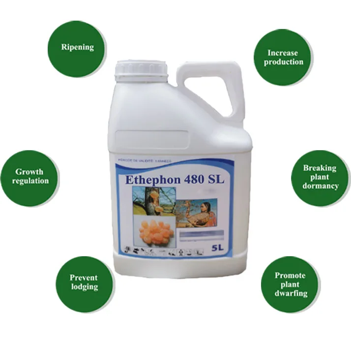 Регулятор роста растений Ethephon 48% SL 480 SL 40% SL жидкий этиленовый рипенер корневые гормоны