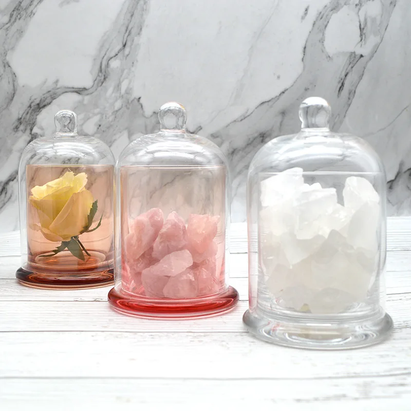 
Handmade Borosilicate D5.5*H6cm Mini Glass Dome With Wooden Base Clear Glass Cloche 