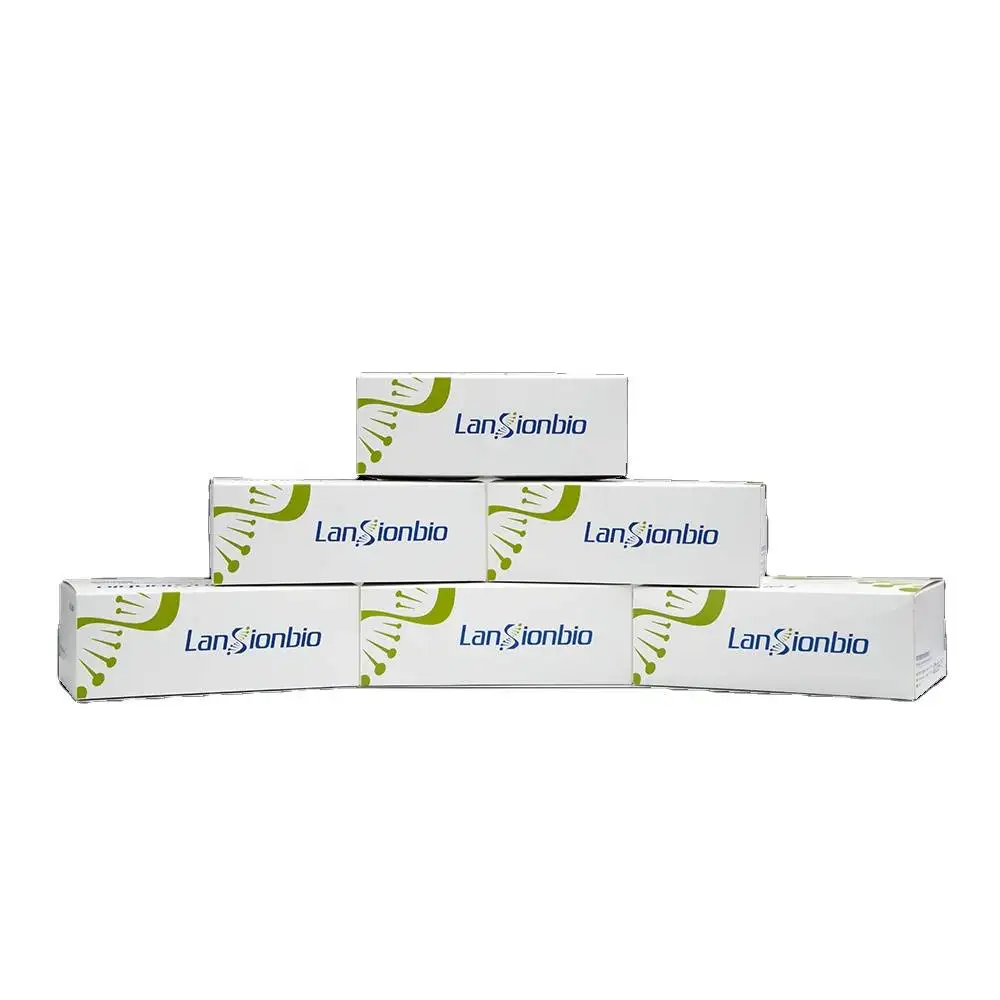 Lansionbio CE ISO Approved AMH One Step Rapid Test Kit Anti-Mullerian Hormone Test for Immunoassay Quantitative Analyzer