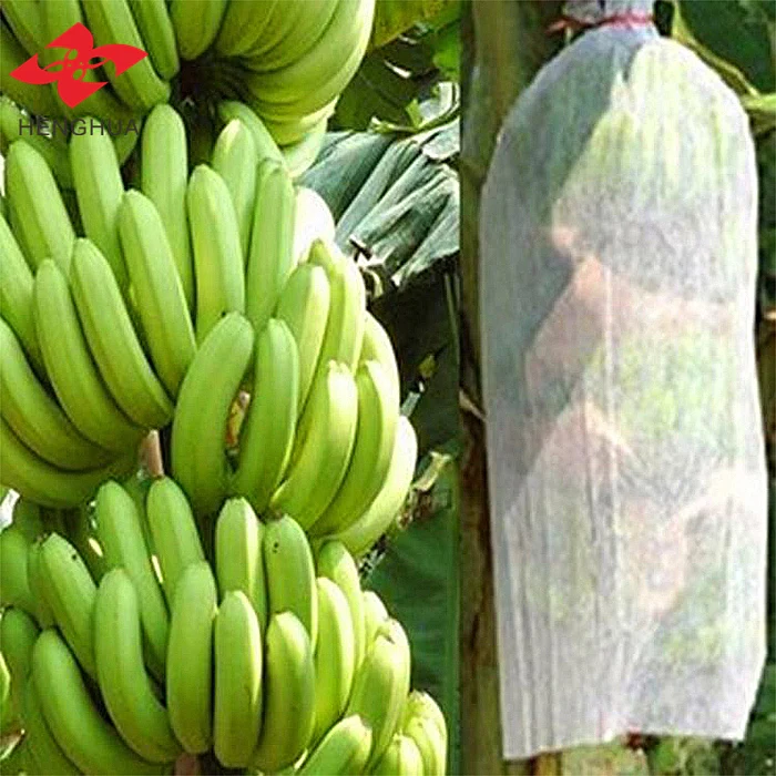 Henghua Eco Friendly PP Non Woven Fabric Fruit Tomato Banana Bunch Cover Garden Plant Protection Cover For Winter