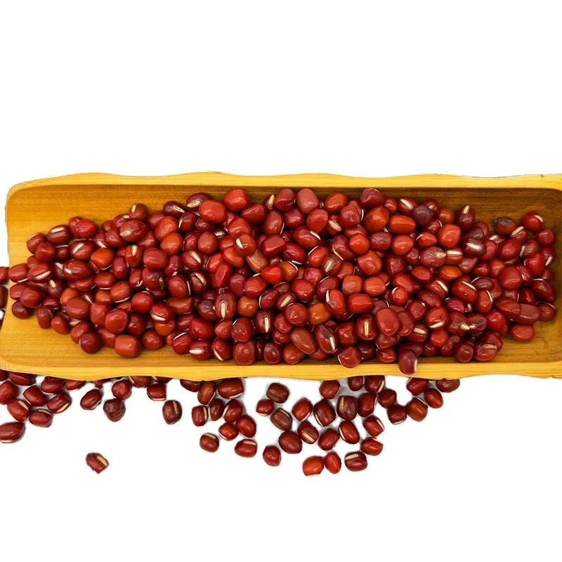 High Quality Dried Organic Round Type Small Red Adzuki Azuki Bean For Korean Bingsu