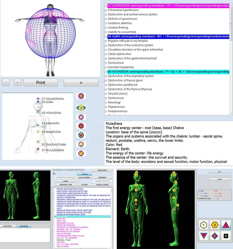 Английский 5,98 NLS 12D Iris synapse AURA Chakra, анализатор здоровья тела с датчиком шлема