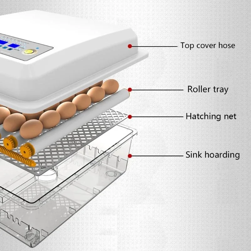 Eggs Incubator Brooder Bird Quail Chick Hatchery Incubator Poultry Hatcher Turner Automatic Farm Incubation Tools R1755