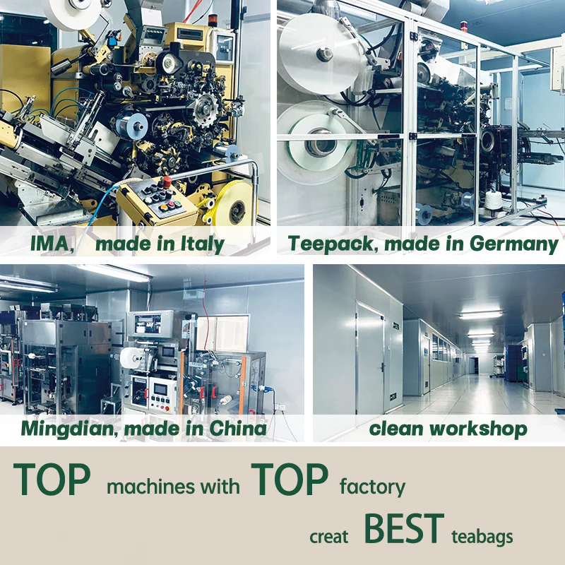 Echinasea tea ECHINACEA double chamber teabags