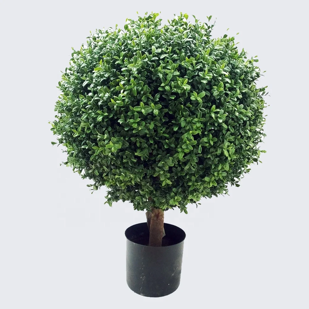 artificial boxwood single ball topiary in wood truck with black plastic pot uv protected outdoor and indoor plant