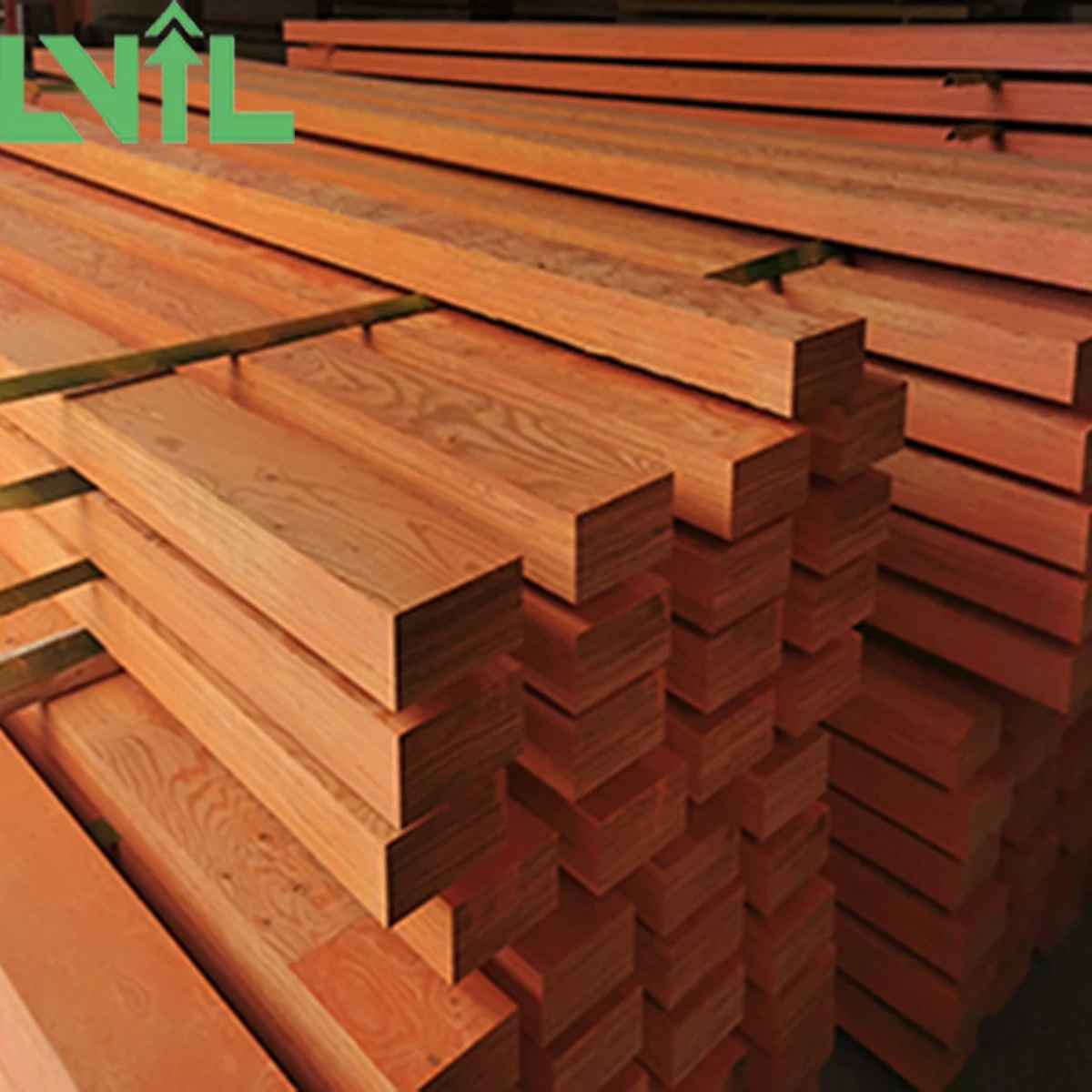 LVIL lvl beam.australian standards long pine f7 beam phenolic glue laminate  timber formwork E14