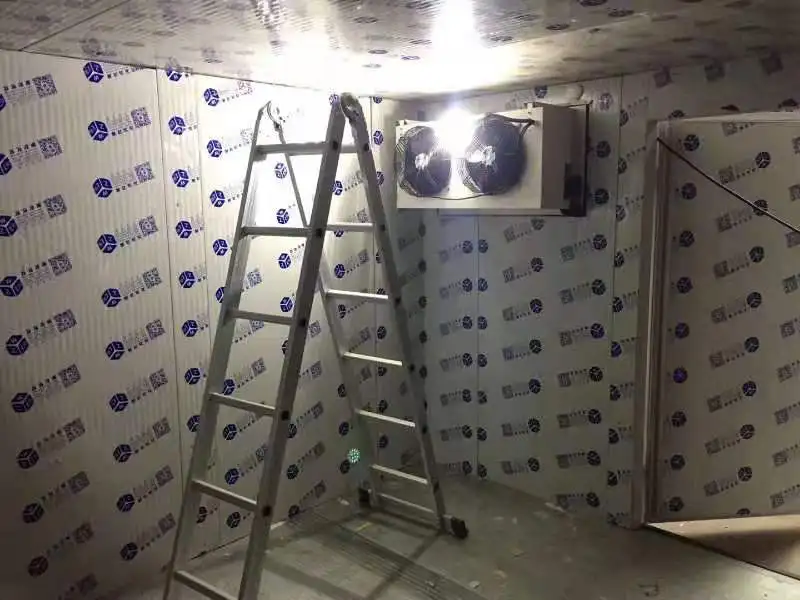 Cold chamber with stainless steel security doors