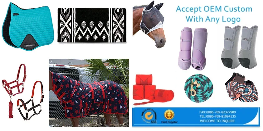 horse equipment