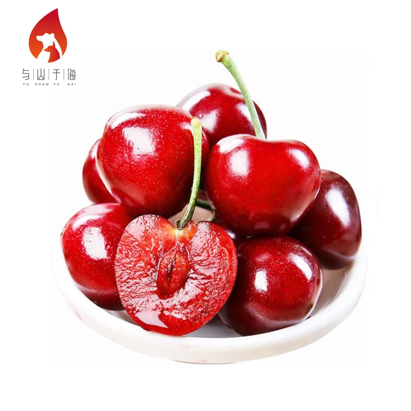 Sweet And Juicy Fresh Cherries Fruits Fresh Dark Red Cherries For Sale