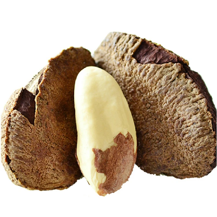 Hot Selling Genuine Supplier of Organic Brazil Nuts Wholesale