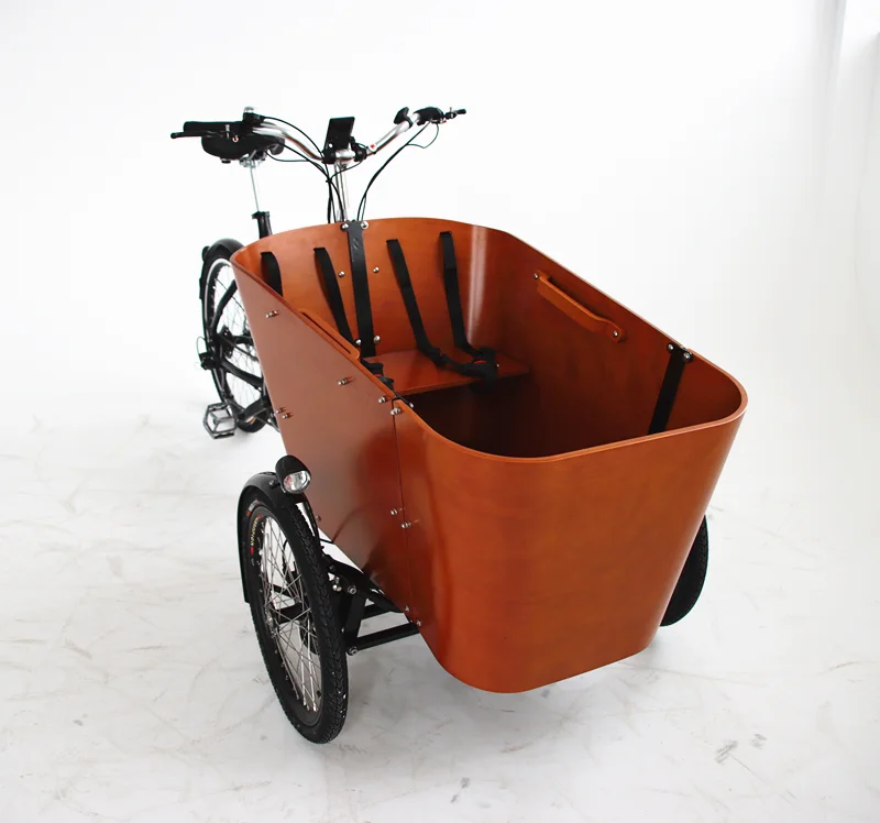 Delivery Ebike Electric Pet Camping Cargo Bike With Rear Motor