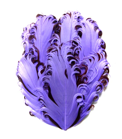 Crafts Halloween Costume Headbands DIY Wedding Decor Hat Fascinators Dyed Natural Goose Feather Pads for Women Hats Millinery