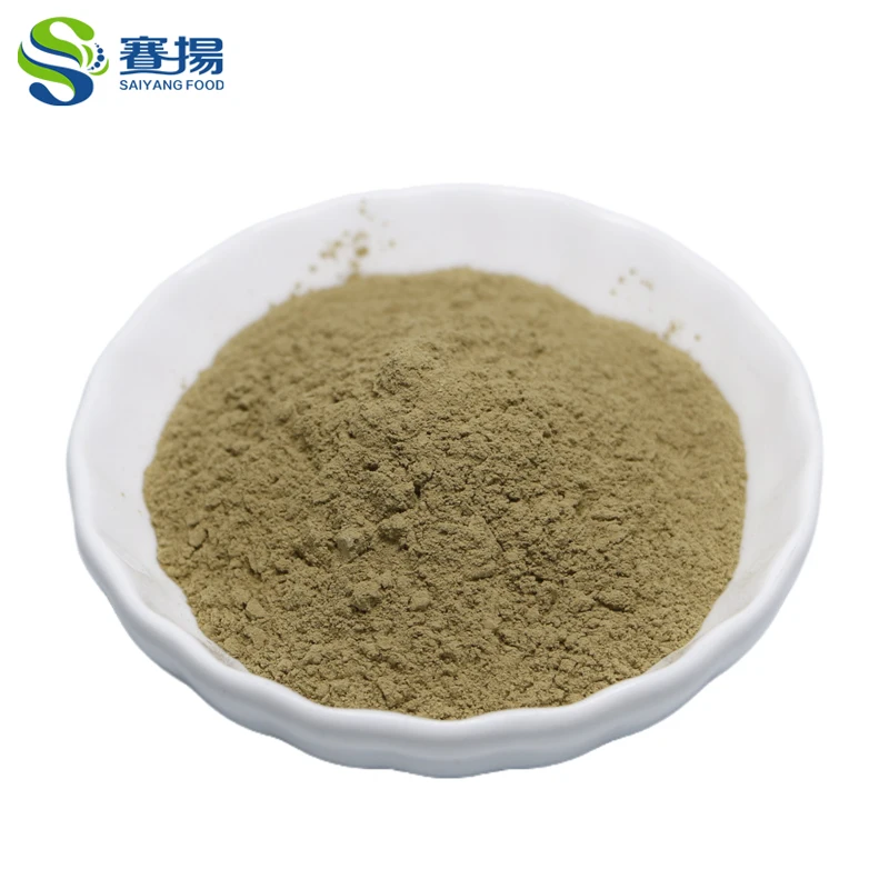 Hot Selling Bulk Rosemary Leaf Extract 25% Ursolic Acid Powder
