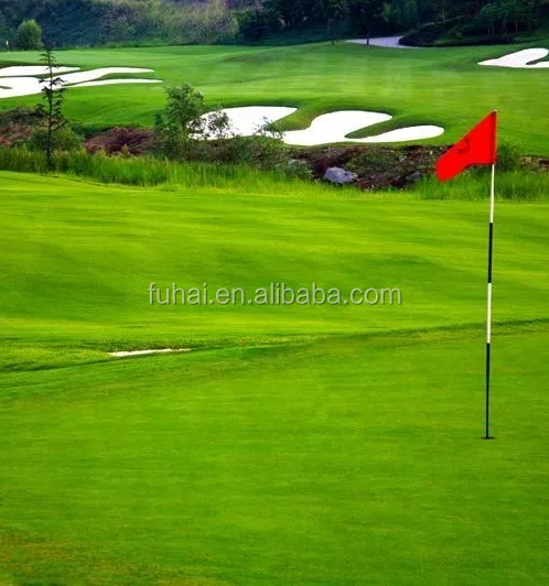 OEM  Colorful Outdoor Golf Flag Poles with Logo Printing Different Number Outdoor Flag Pole
