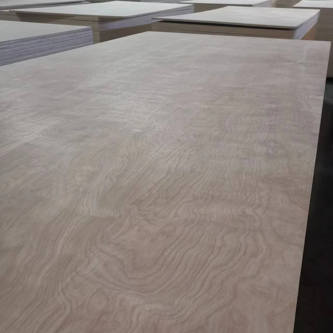 Wholesale 3mm 6mm 18mm Wood Veneer Plywood Sheet 4x8ft Birch Plywood