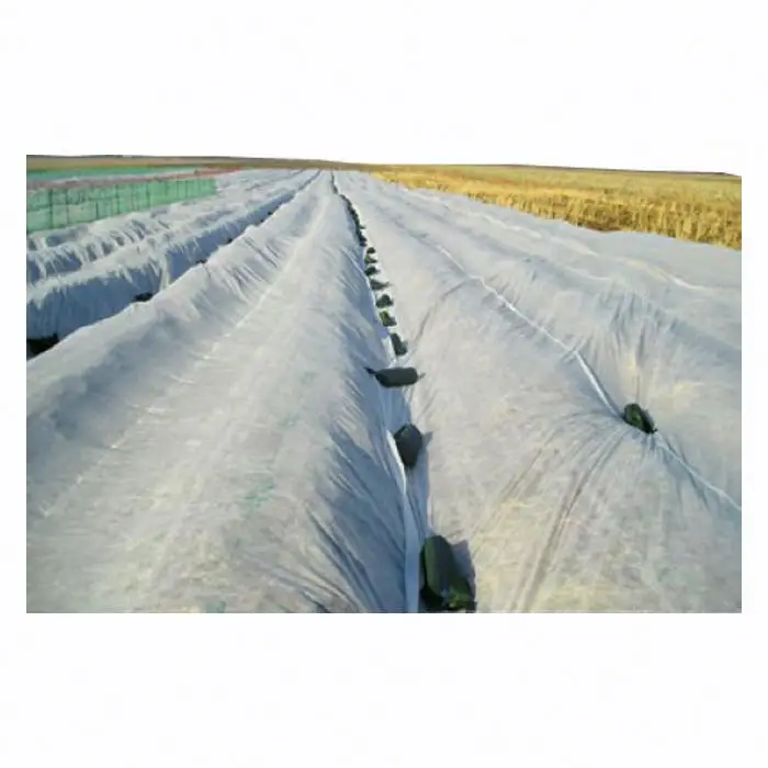 Landscape nonwoven fabric agriculture PP spunbond non woven in roll