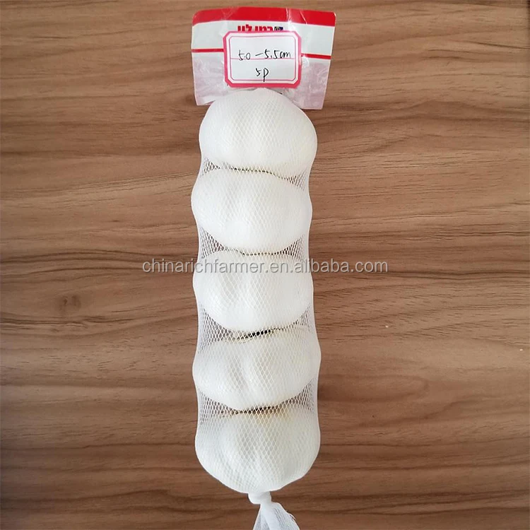 Garlic Supplier Pure White Garlic in Carton