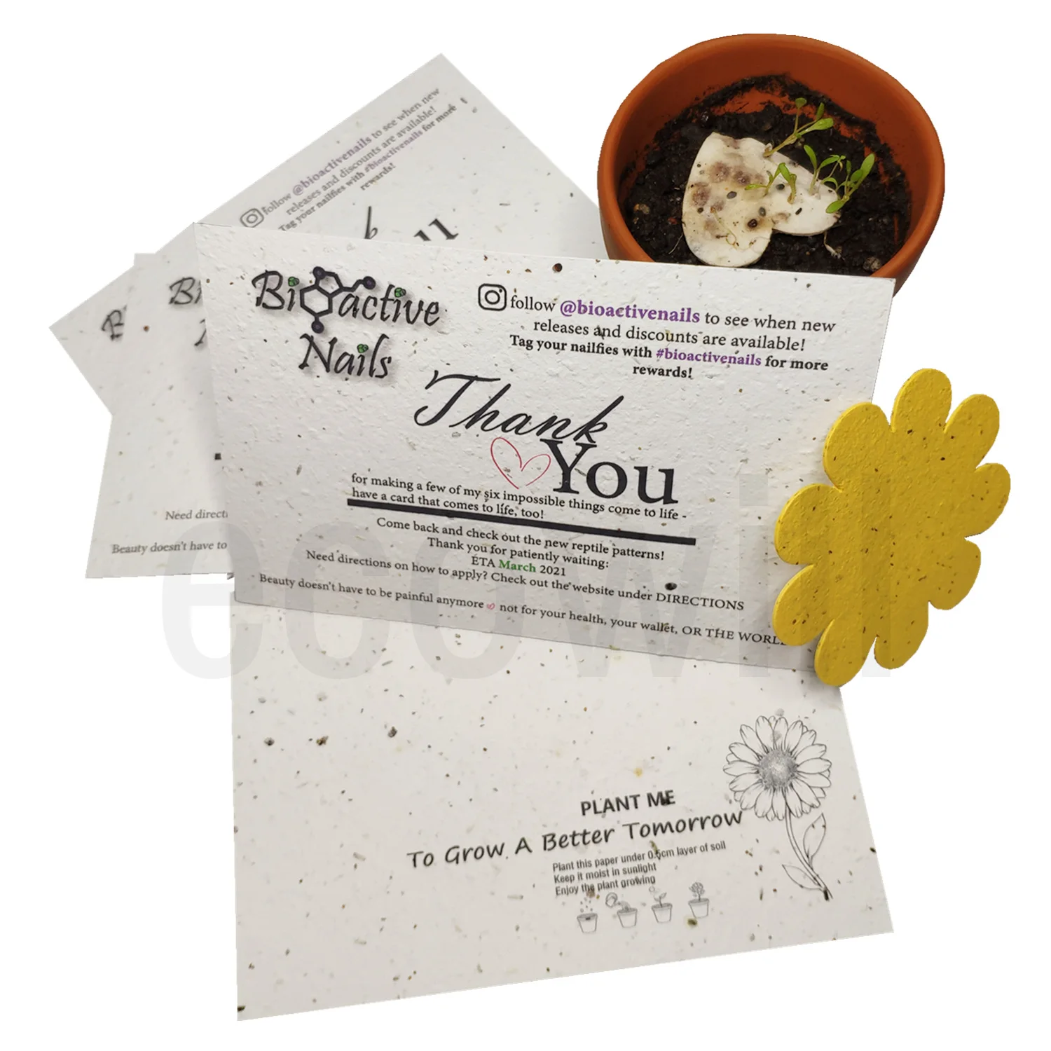 
Ecowill 2021 прорастающая благодарность, травяная бумага для семян растений с растительными травами, семена овощей 