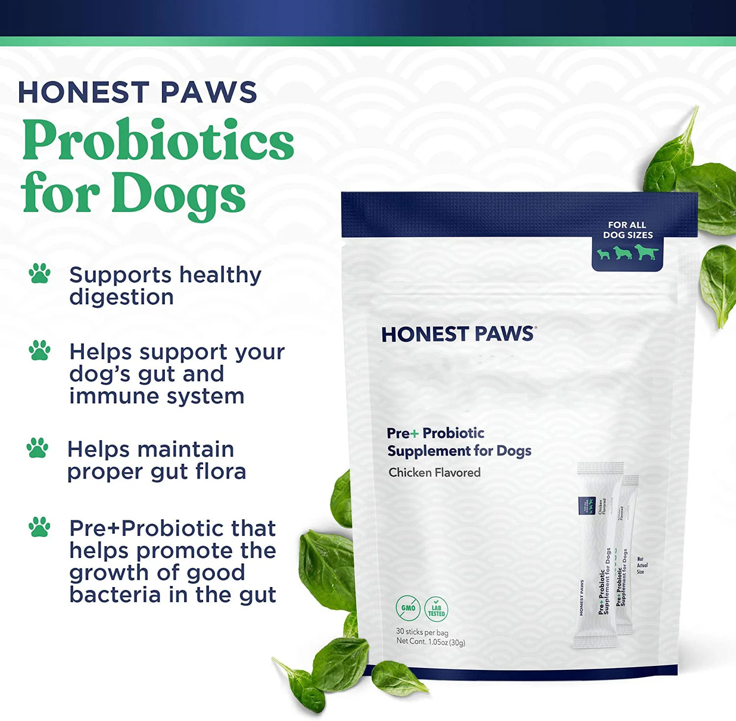 Organic Six High Content Probiotics Prebiotic Powder Dog Immune Supplements