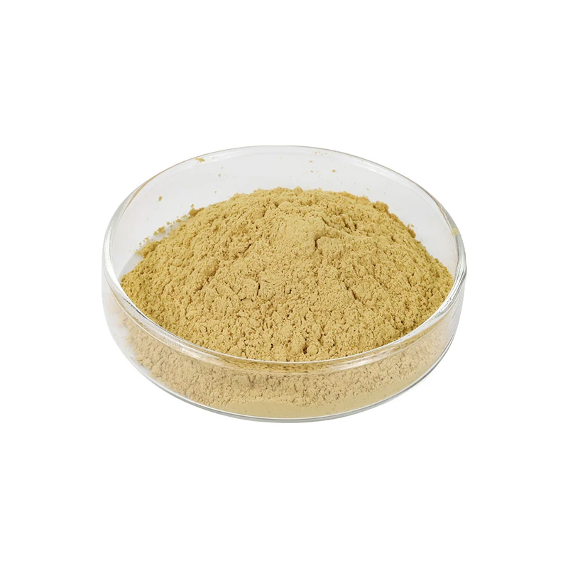 Manufacturer Supply Luteolin Powder Cas 491-70-3 Pure Luteolin