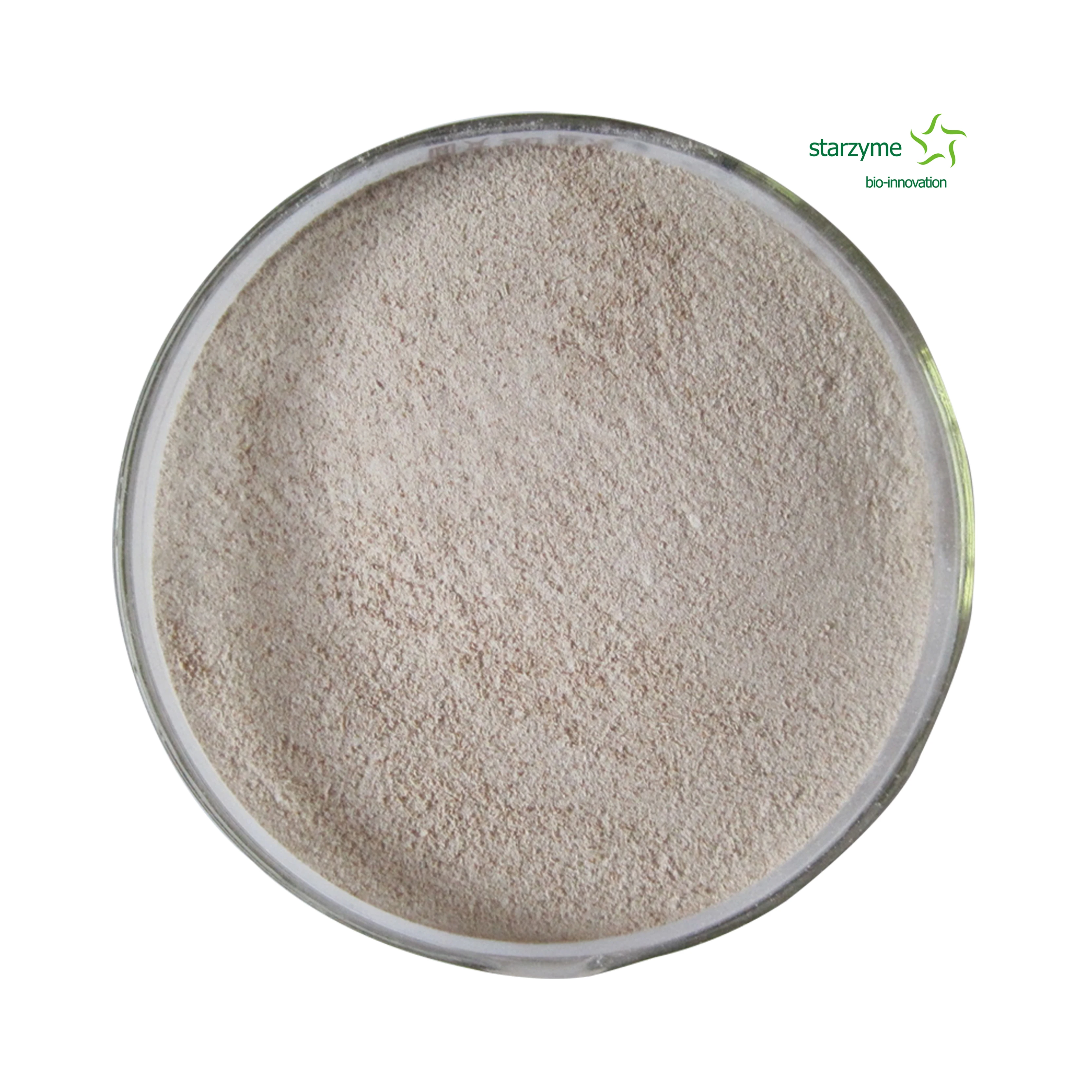 High Colony Content Bacillus Subtilis Feed Grade Powder Probiotics