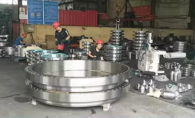 Forged Steel Flange WN THREAD BL SW LJ stainless steel flange customized specification