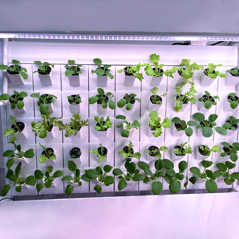 High Quality indoor vegetables wall type greenhouse vertical hydroponic growing systems