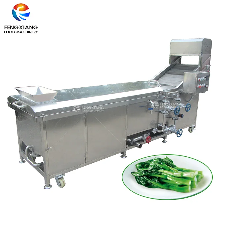 PT-2000 Commercial Factory Price Vegetable Fruit Processing Corn Bean Potato Chips Blanching Machine
