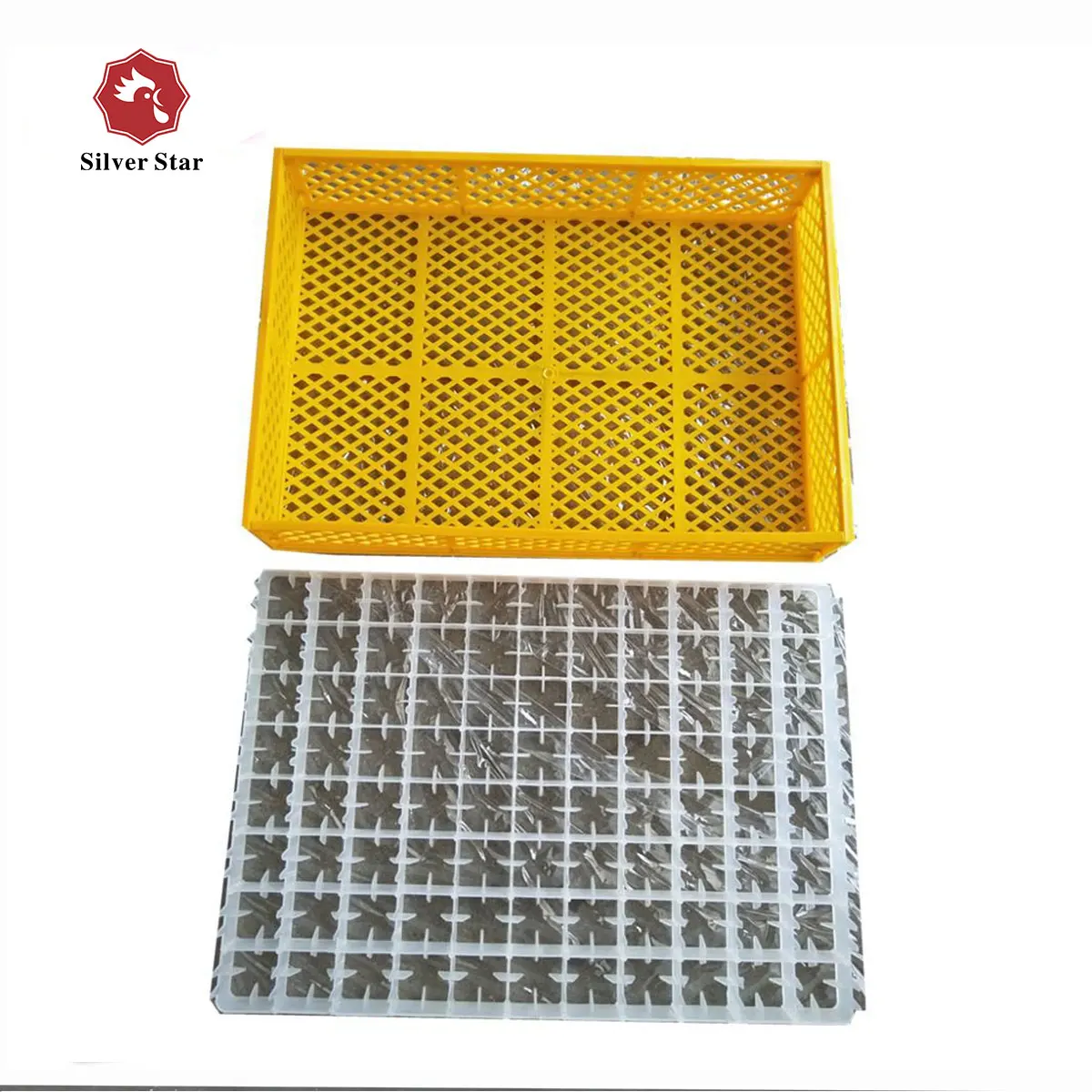 Silver star full Automatic 3168 All In One Egg Incubator