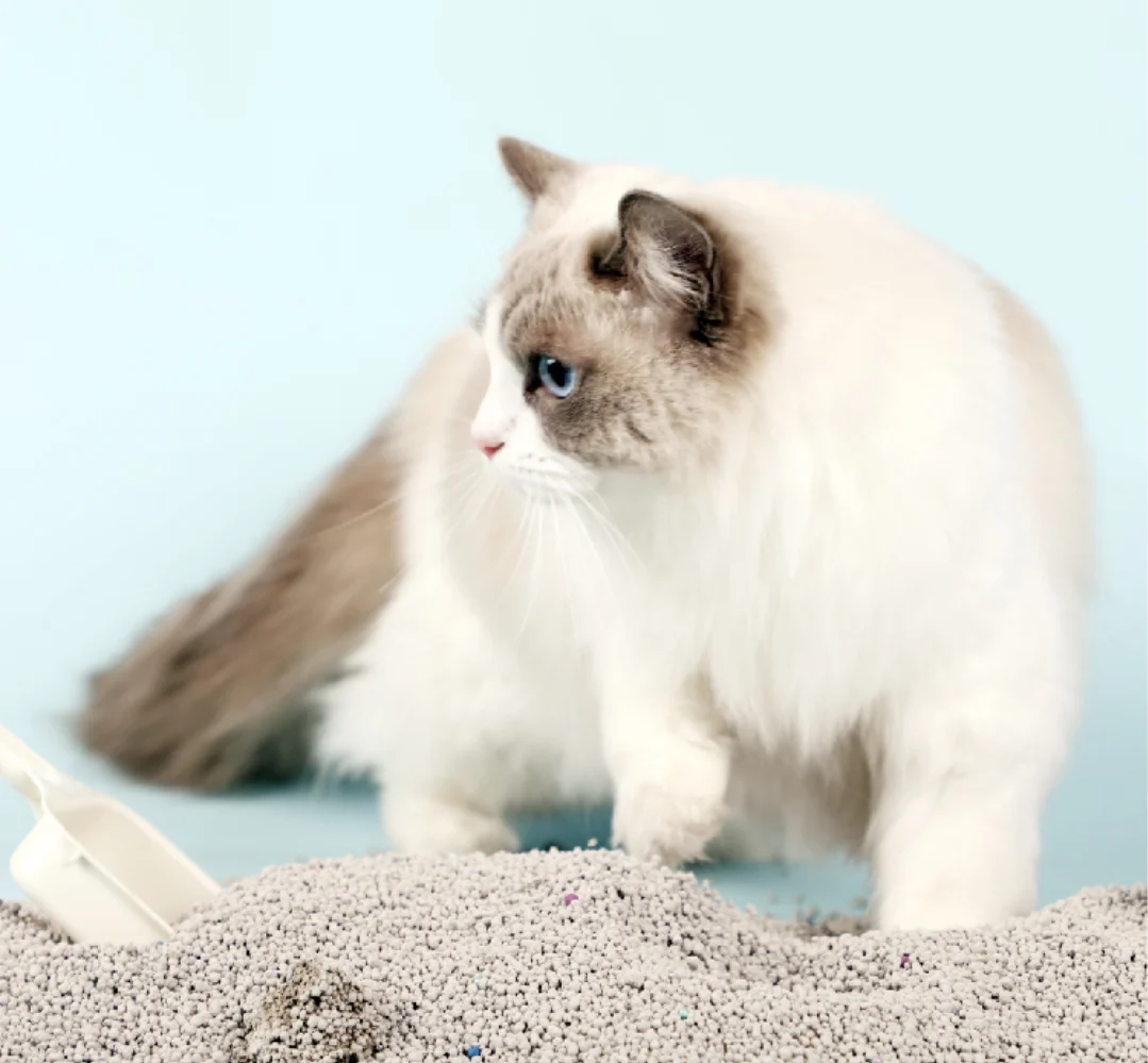 Factory wholesale bentonite cat litter making machine cat sand bentonite