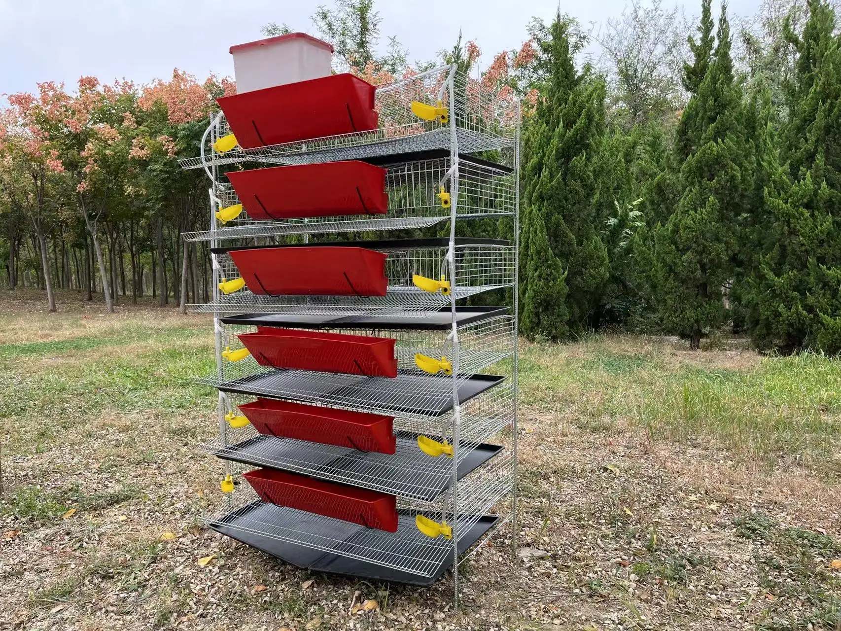 Hot sale quail cage for male and female fertilized eggs commercial quail cage for jumbo quails