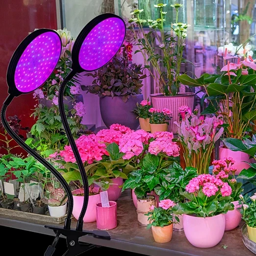 Newest Plant Grow Lights Greenhouse Cultivation Grow Commercial Full Spectrum Led Grow Light For Flower
