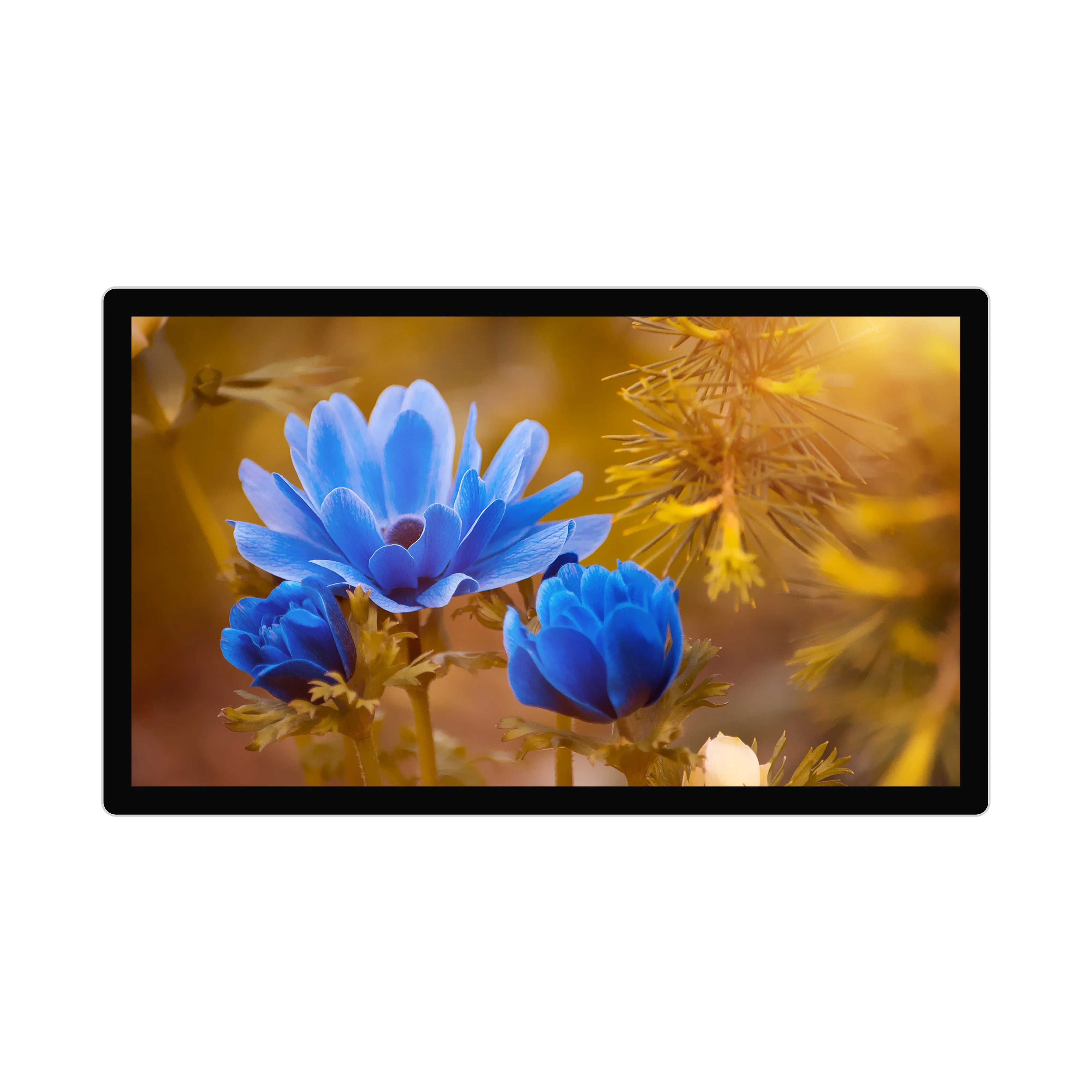 
49' wall mounted Digital Signage / Advertising Display Player / Open frame Touch screen / multi touch kiosk 