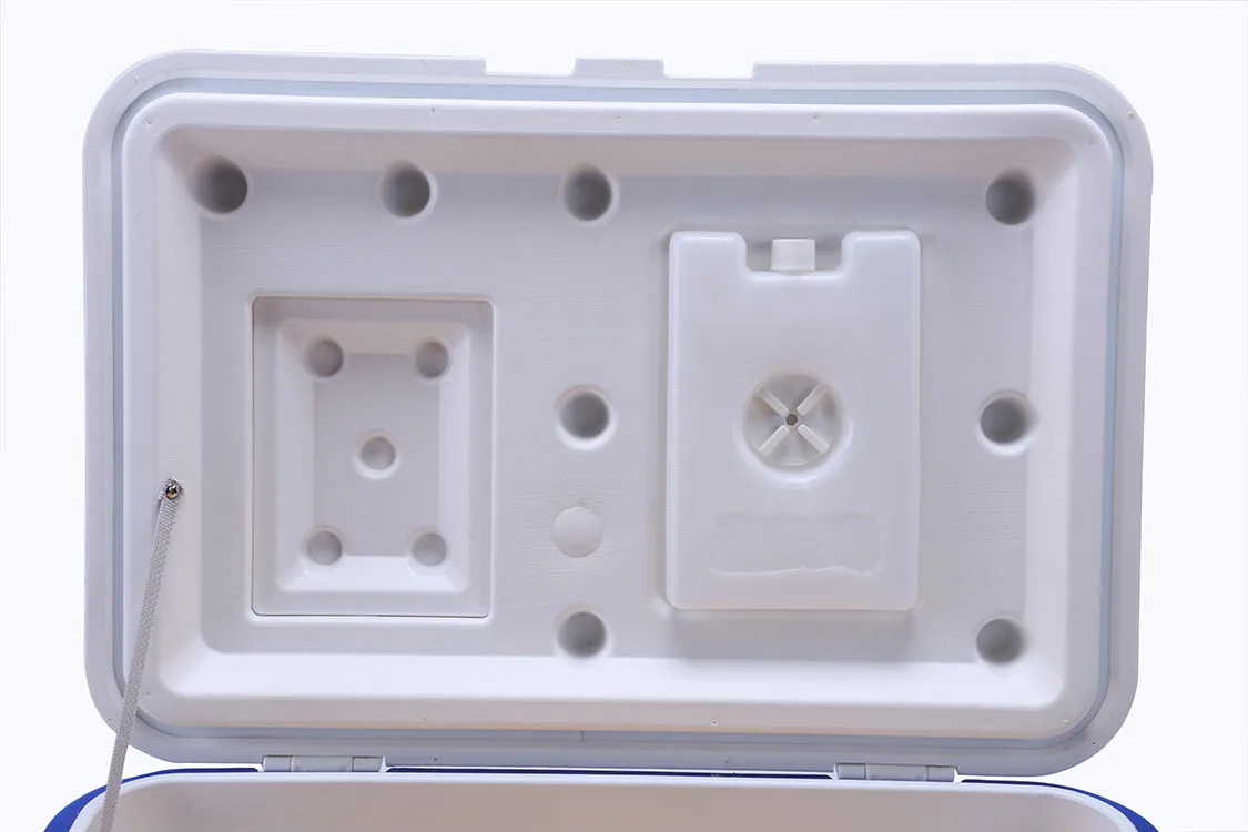 Hot selling 40L cooler box, vaccine medical camping picnic portable mini plastic ice cream warmer cooler box