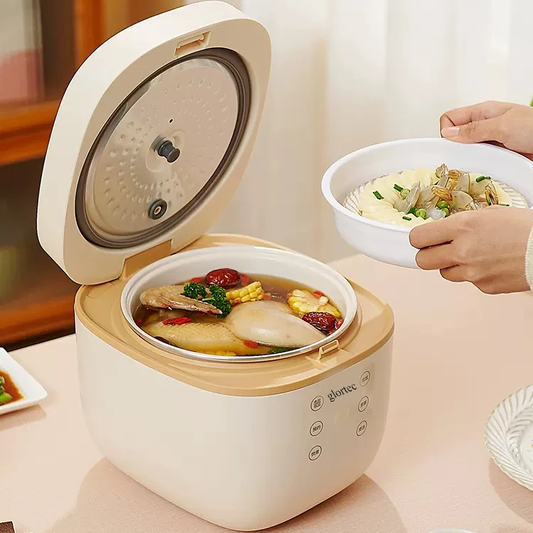 Multifunctional IntelligentCooker Mini Home Booking Timed Cooking Pot for Household and Hotel Use