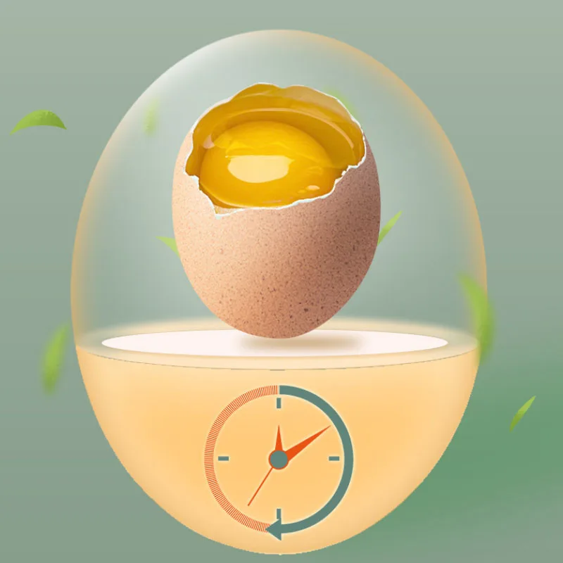 2022 New Refrigerator Storage Egg Box 24 Grid PET Plastic Clear Freezer Eggs Storage Container Kitchen Refrigerator Organizer