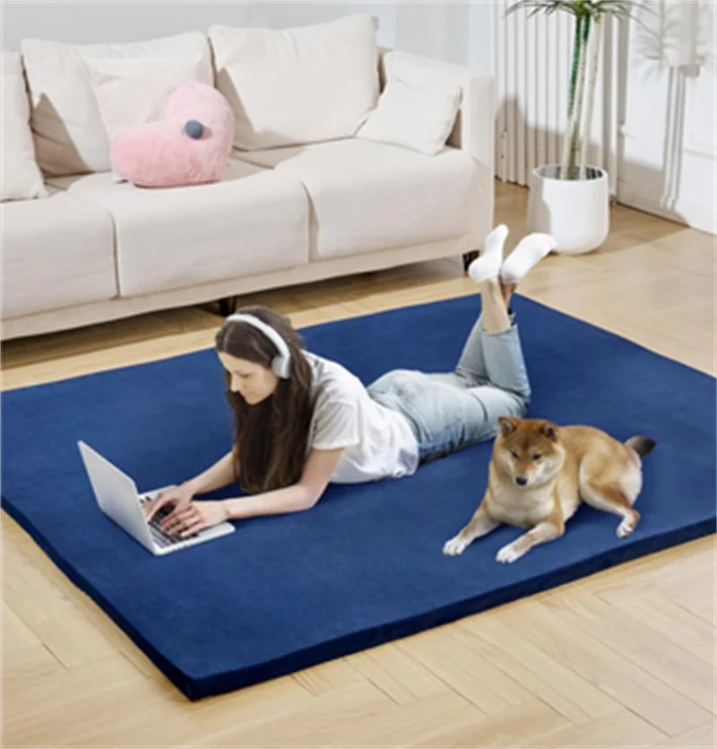 Customized alfombra Tatami Area Rug soft Kids Play Mat Seat pad Carol Memory Foam Center Carpet for Living Room