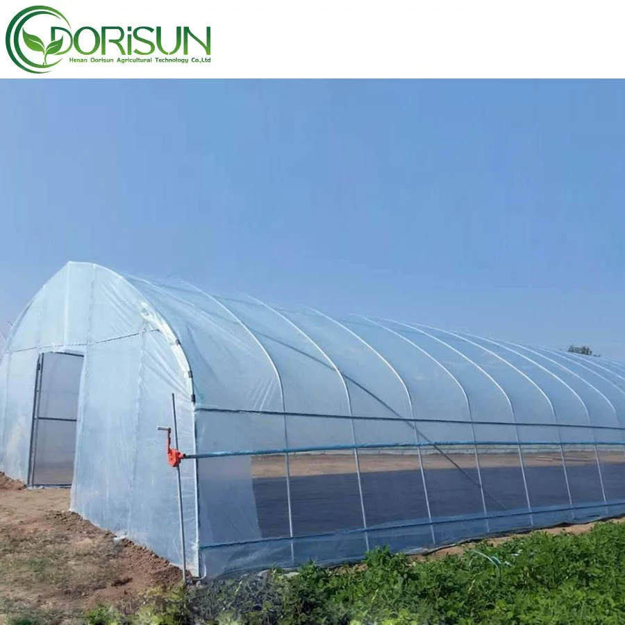8x30m Agriculture Tomato Greenhouse Frames Plastic Film Single Span Tunnel Greenhouses