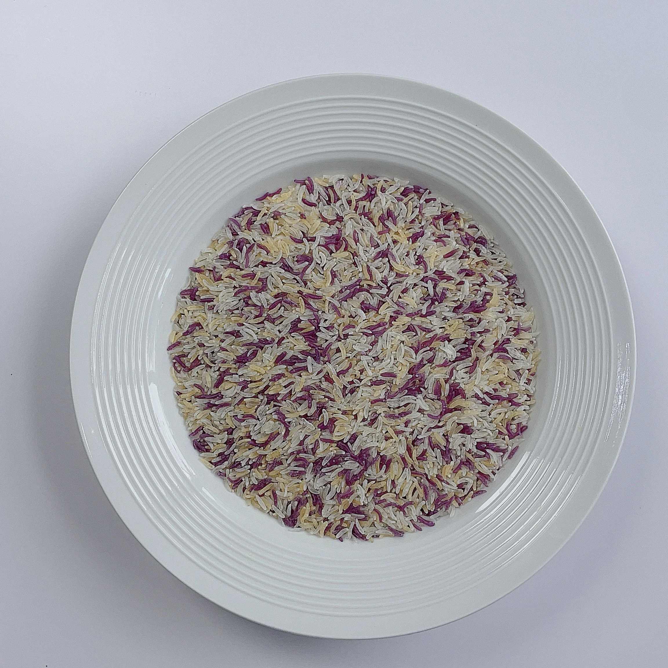 Wholesale Konjac Food No Fat No Sodium Dry Shirataki Konjac Noodles Rice Gluten Free Paleo Friendly For Diabetic