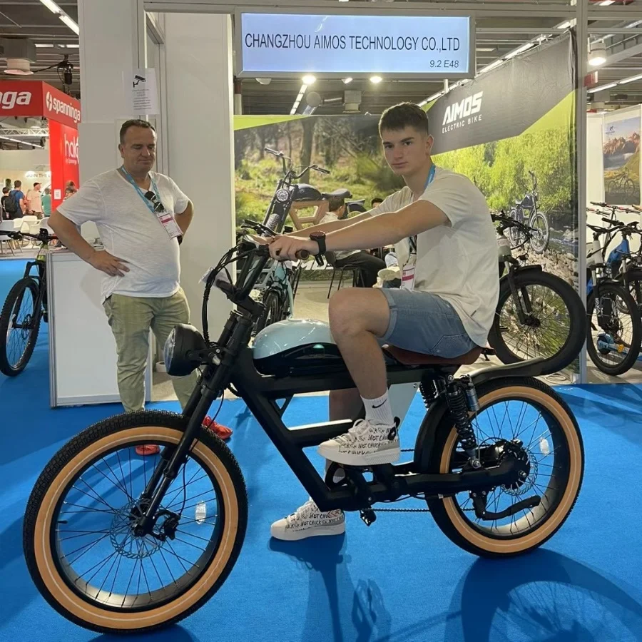 24'x4.0 48v1000W bicycle electric fat tire bike electric bicycle with 48V 30AH Lithium Battery ebike
