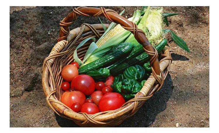 Trichoderma reesei 5 billion CFU/g for agriculture