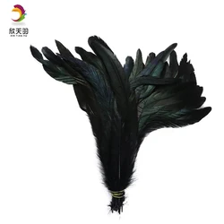 Hot Sale High Quality Dyed Rooster Tail Feather Plumas de Gallo