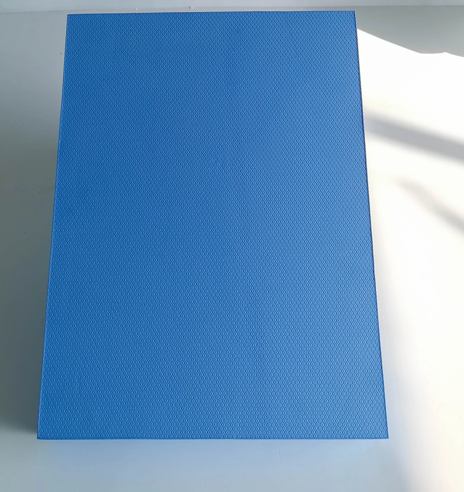 Soft Foam Hardness Gym Fitness Non Slip Large TPE Yoga Therapy Training Cushion large Balance Pad