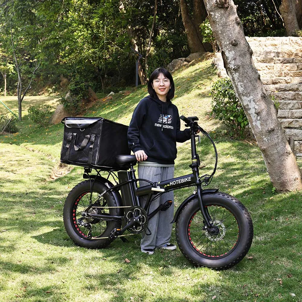 Best Price Fat Dirt Bicycle Batteries For 48V Electric Bike A7AM20 250 350 500W 750W motor foldable ebike